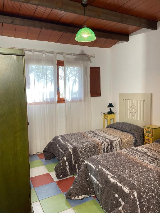 Allotjament Rural Illa De Mar Deltebre Zewnętrze zdjęcie