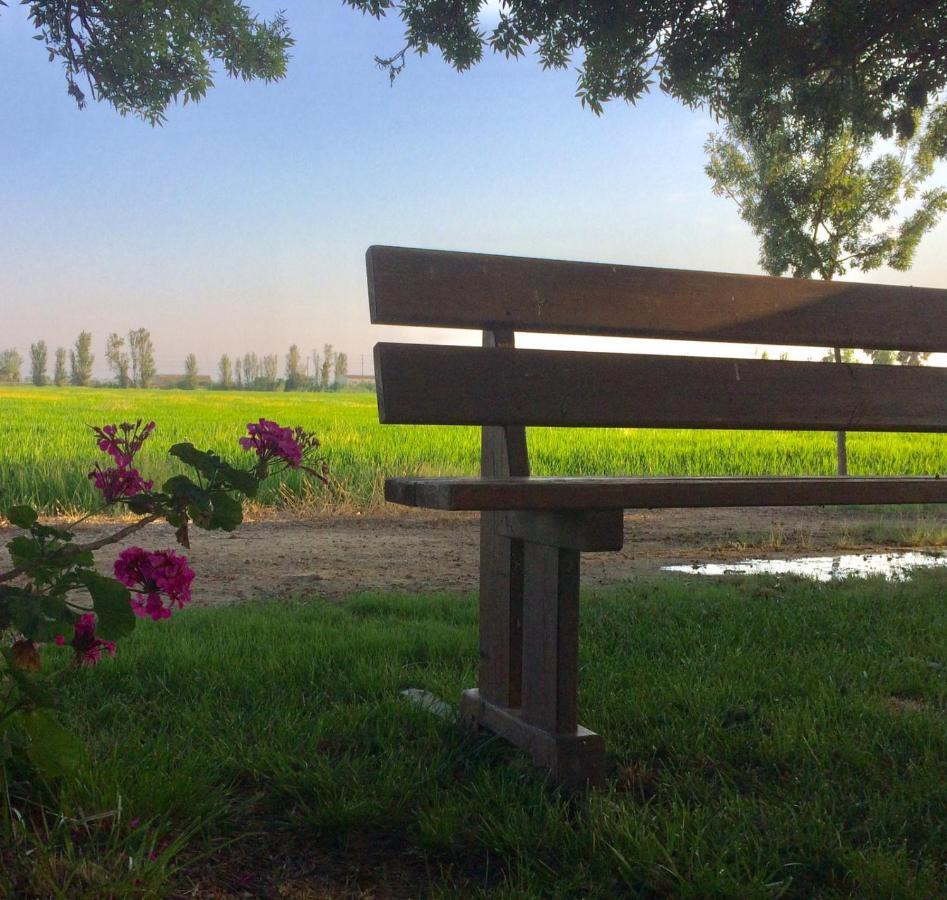Allotjament Rural Illa De Mar Deltebre Zewnętrze zdjęcie